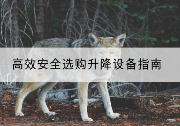 青铜峡升降货梯厂家推荐-*安全选购升降设备指南