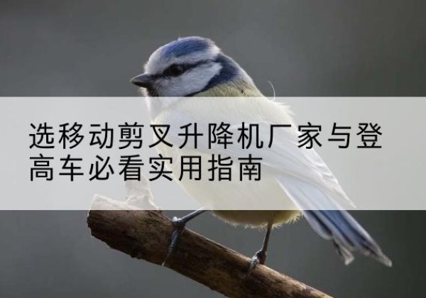 青铜峡电动升降机厂家-选移动剪叉升降机厂家与登高车必看实用指南