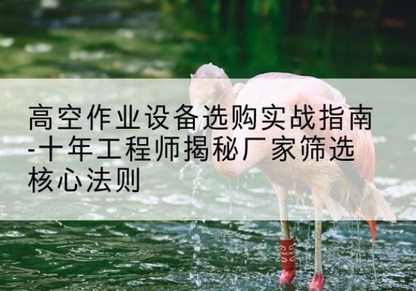 青铜峡剪叉式升降机厂家-高空作业设备选购实战指南-十年工程师揭秘厂家筛选核心法则